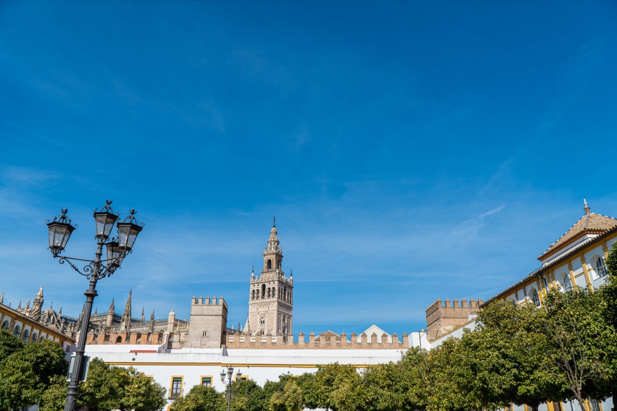 The Giralda rising above the old city under a blue sky